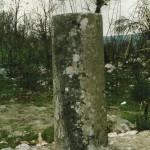 ceppo156