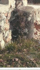 ceppo18