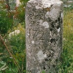 ceppo5