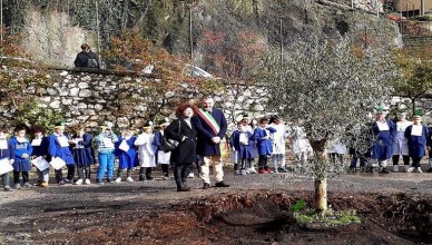 FESTA ALBERO CORI GIULIANELLO (1)