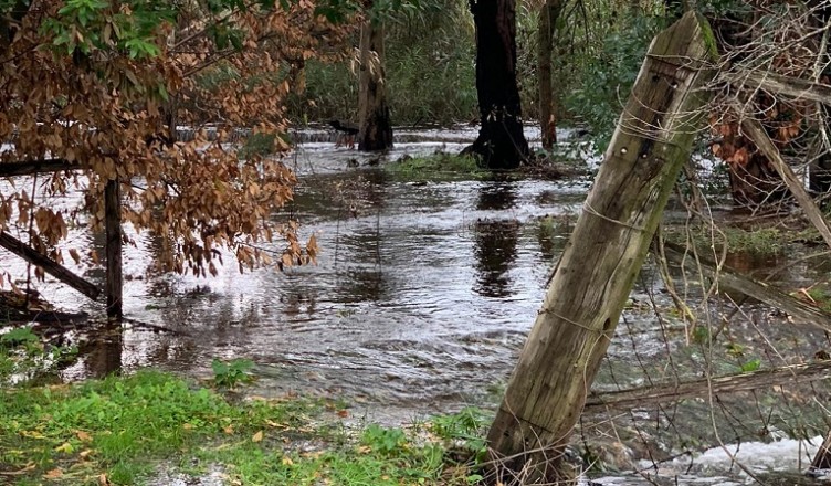 Zona Pantano grande allagata