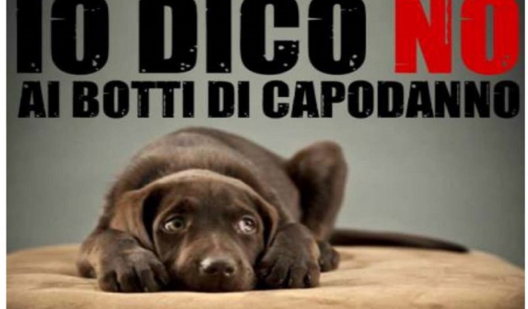 NO AI BOTTI