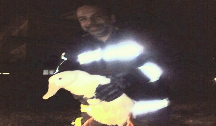 Vigili del fuoco sora