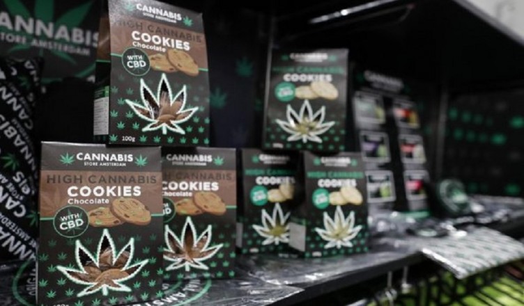 cannabis cibo