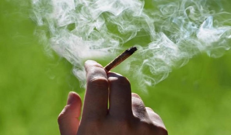 cannabis................