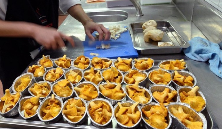 chef cucina