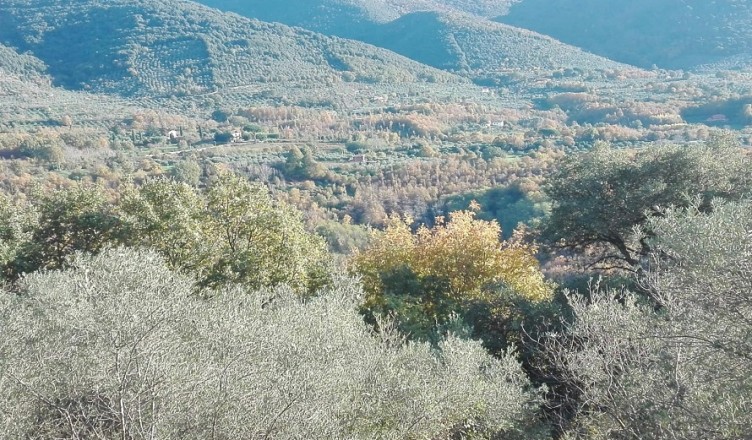 OLIVETO BASSIANO2