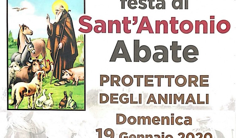 festa Anagni
