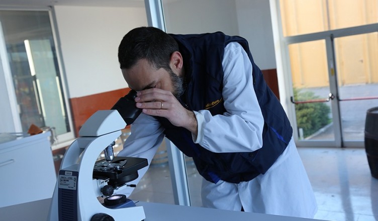 storia e innovazione