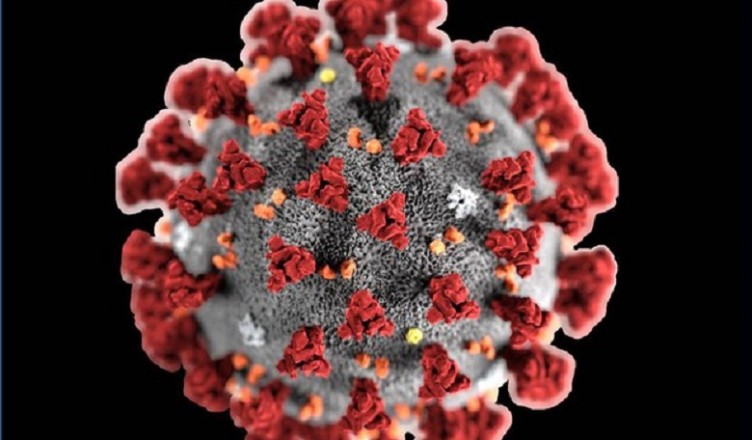 coronavirus....