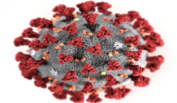 nuovo coronavirus