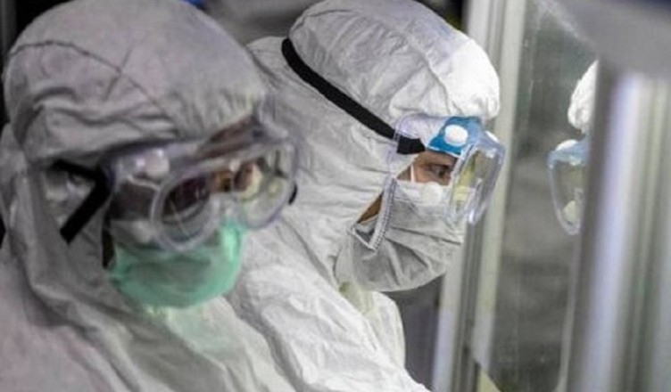 virus palermo
