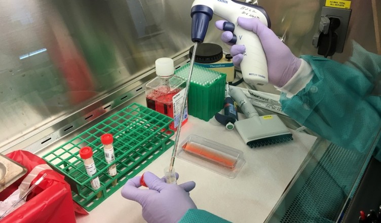coronavirus laboratorio