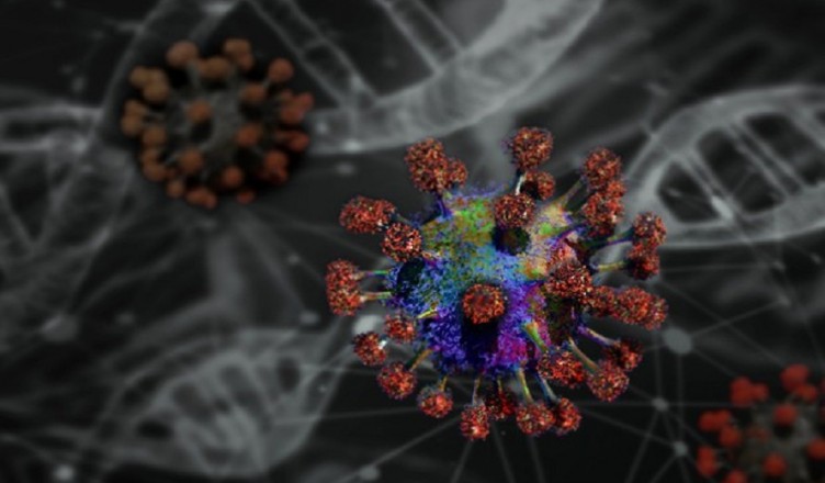 coronavirus mutazione