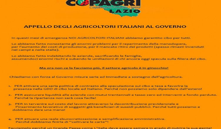 APPELLO GOV (1)