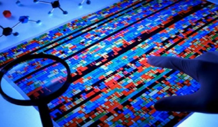 Bioinformatica