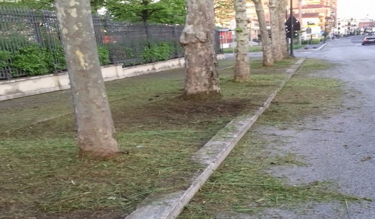 Frosinone manutenzione verde