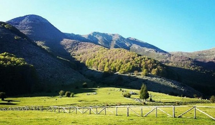 prato di campoli