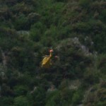 IMG-20200526-WA0005