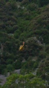 IMG-20200526-WA0005
