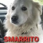 ISIDORO 1