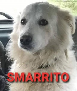 ISIDORO 1