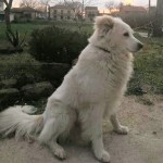 ISIDORO 2