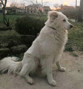 ISIDORO 2