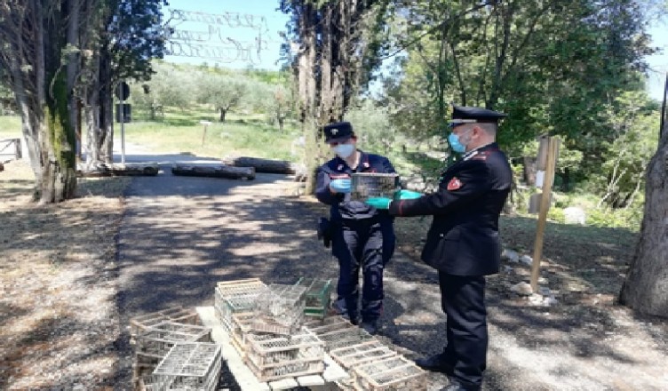 Liberazione volatili Pontecorvo