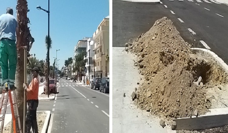 Palme via Pepe...