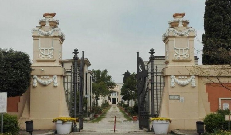 collecottorino FR