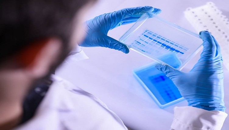 laboratorio........