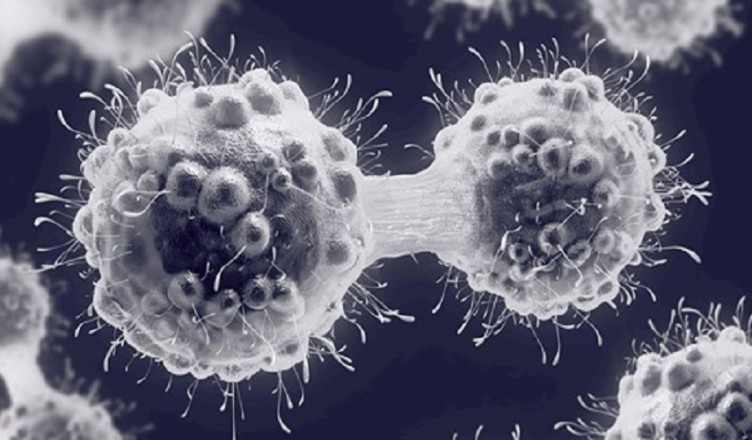 safe_image (5)