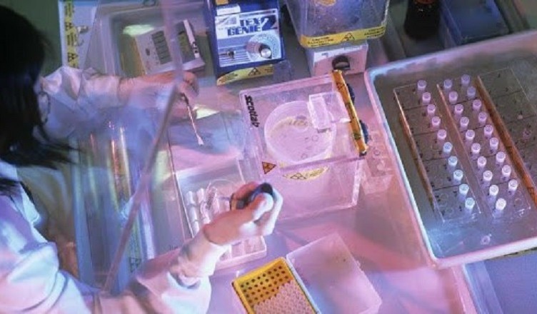 test laboratorio...