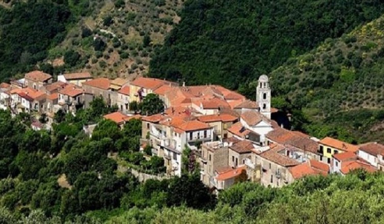 cannicchio