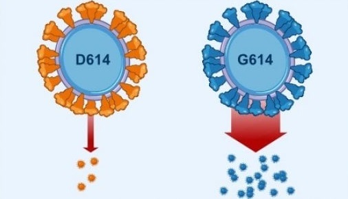 Coronavirus mutato