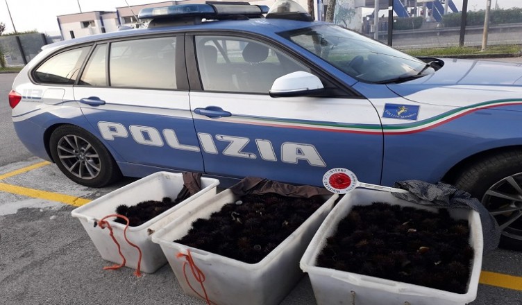SEquestro riccimare Cassino