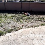 degrado parco valente sora2