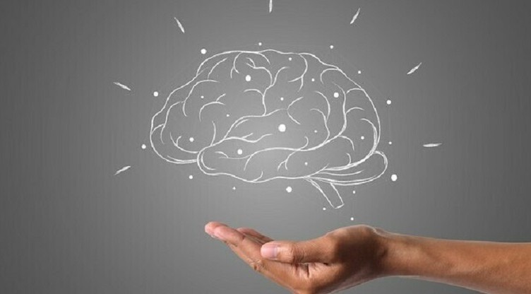 capacita' cognitive cervello