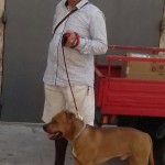 Gigi e Vincenzino