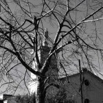 IMG_20200902_093848