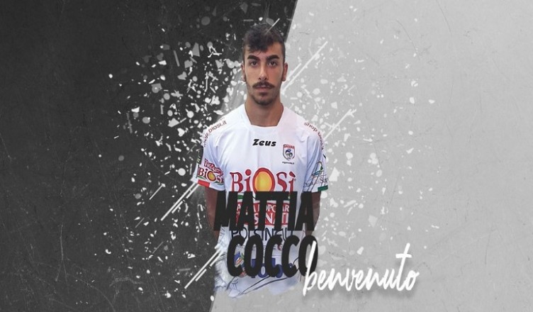 cocco mattia