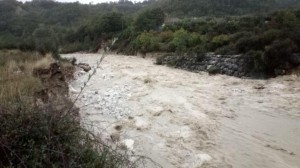 IMG-20201015-WA0020