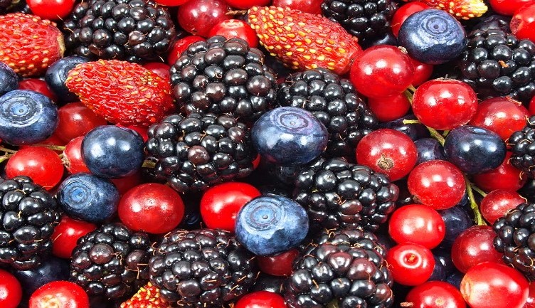flavonoli pressione sangue