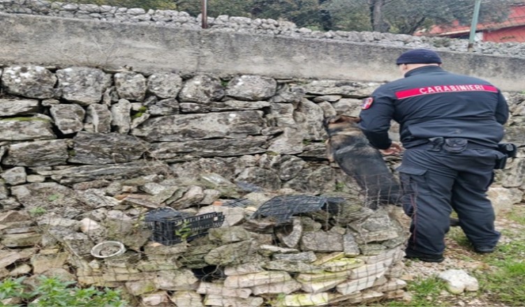 ARRESTO DROGA AUSONIA