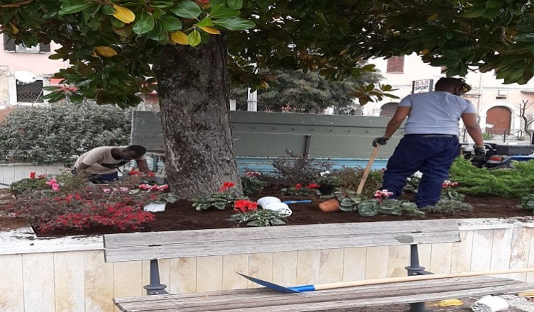 Resilienze Locali Arce