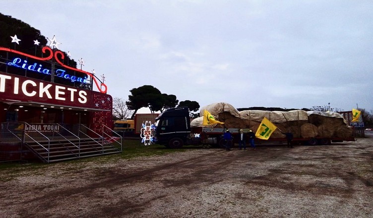 Fieno al circo Togni