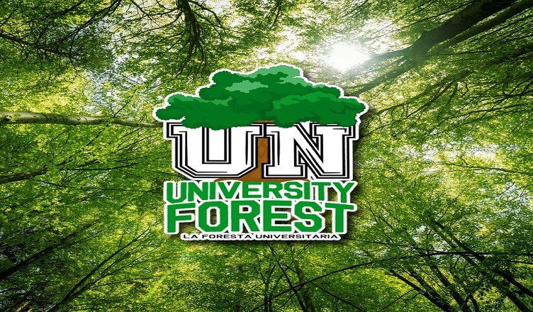 cover - La foresta universitaria