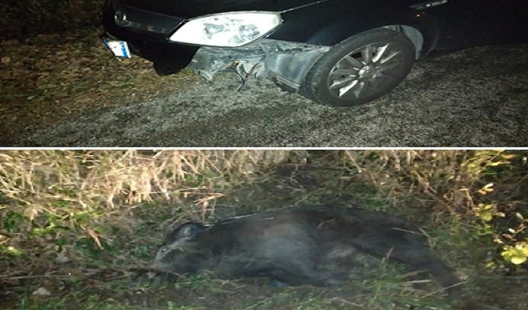 incidente fontana liri