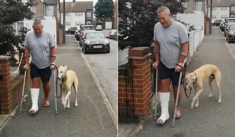 cane e padrone zoppica